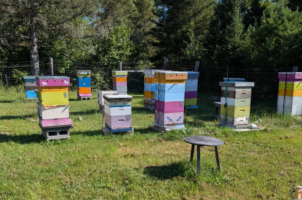 hives hives