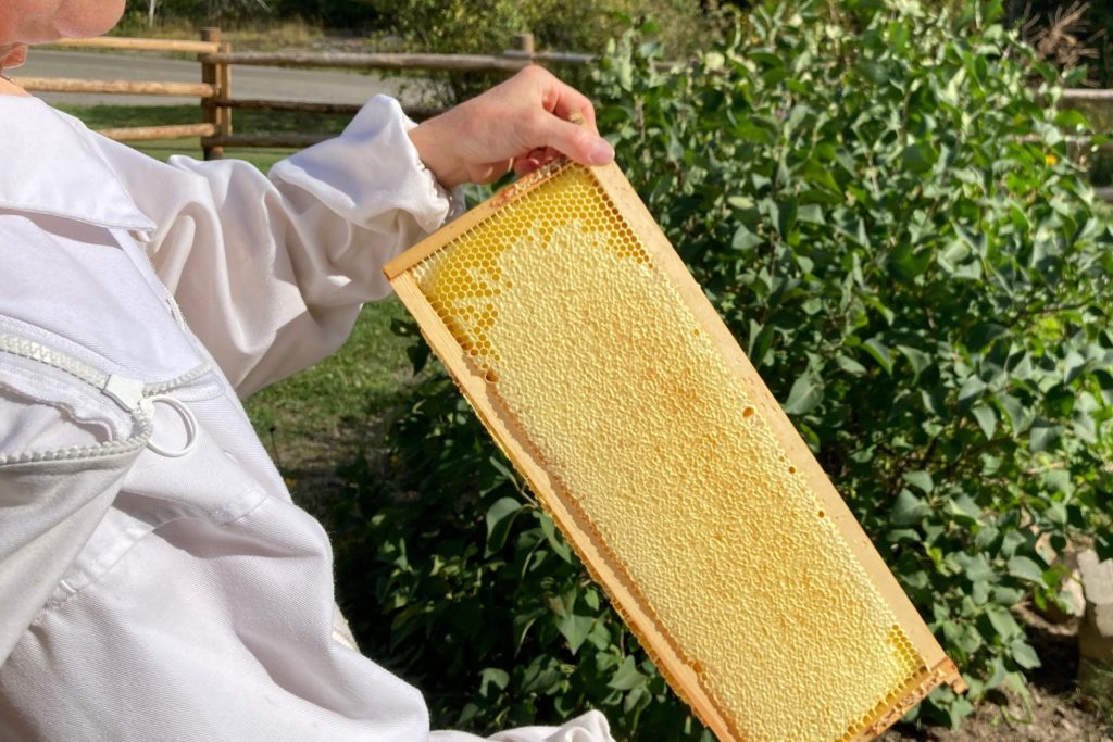 holding comb holding comb